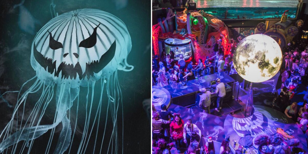 You Can Celebrate Halloween Underwater At Ripley's Aquarium